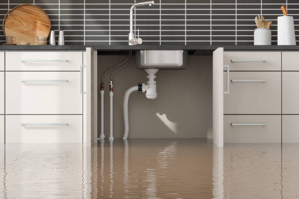 Trusted Water Damage Restoration in New Bern, NC | Fast, Reliable, and Ready to Assist You